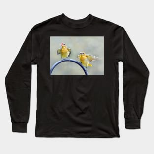 Oriole Fledglings Long Sleeve T-Shirt